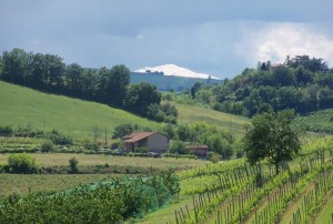 Snowy Cimone from savignano